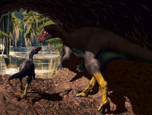「墓穴を掘った」新種の恐竜を発見、9900万年前に生き埋めに
