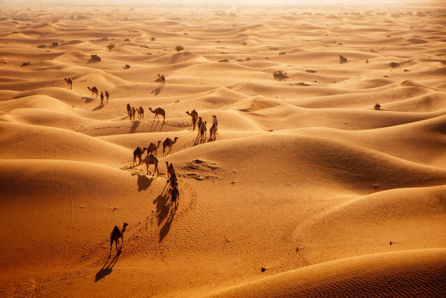 サウジアラビアの広大な砂漠はかつて緑の楽園だった、最新研究