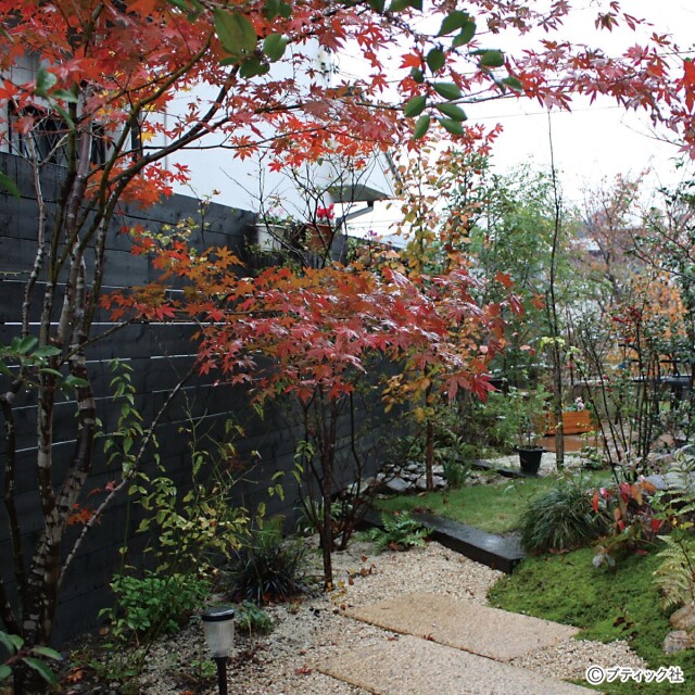 和風の雑木の庭で「秋の紅葉」を楽しむ方法！