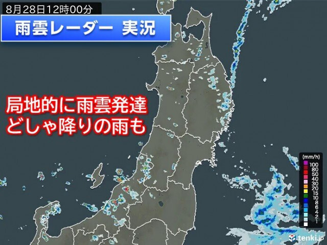 北海道や東北、北陸付近に発達した雨雲　所々でザーザー降りの雨　台風10号の影響も