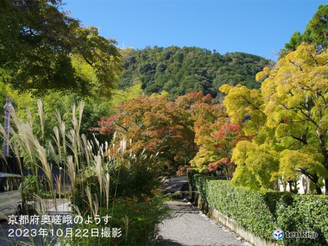 週間天気　日中は高温傾向も　朝晩は冷え込む　本州の山で紅葉の色づき進む