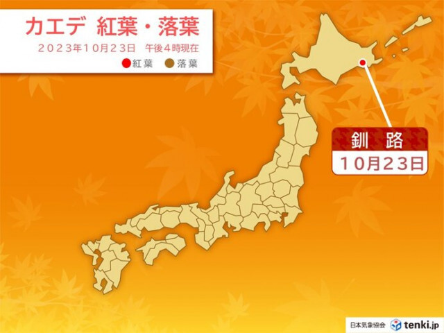 釧路で平年より1週間遅くカエデが紅葉　この秋　全国で初