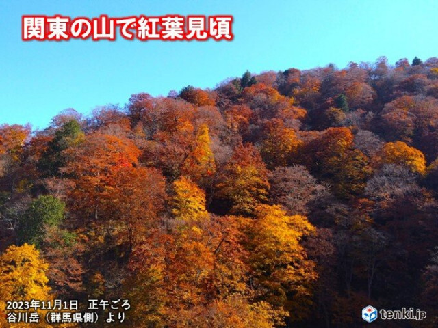 関東　山では紅葉見頃　3連休は晴天続く　各地の色づきの状況は?