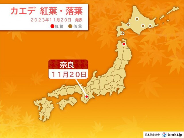 西日本でも紅葉前線が進む　鹿児島は平年より早くイチョウ黄葉　ただ今週は20℃超も