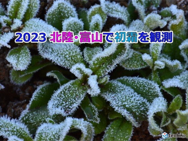 21日　富山で「初霜」北陸では今シーズン初　24日夜〜25日は新潟を中心に降雪か