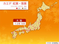 大阪でイロハカエデの紅葉　仙台でイチョウの黄葉　いずれも平年より遅い季節の便り