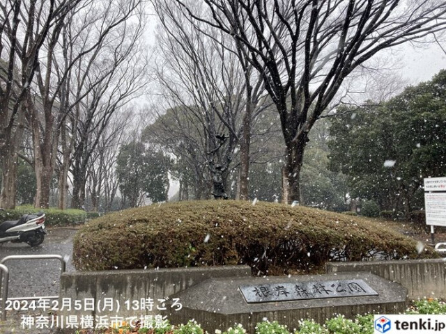 関東平野部などすでに積雪　東京都心の気温は1℃台まで低下　長野県には大雪警報も