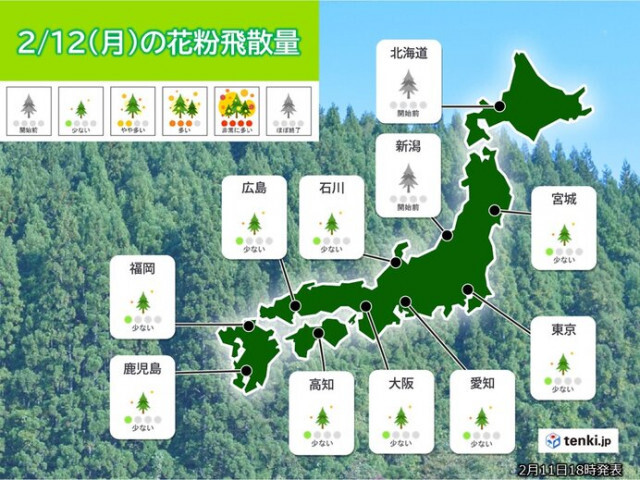 花粉情報　東北もわずかに飛散　14日以降は九州や関東で本格的な花粉シーズンへ