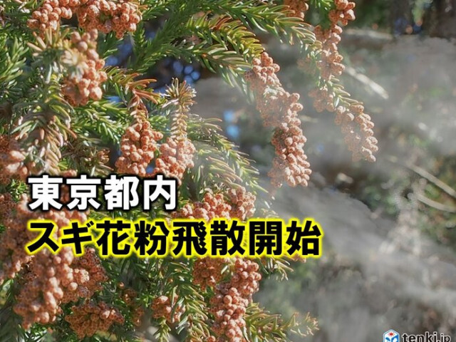 東京都内でスギ花粉が飛散開始　昨年より1日早く　過去10年平均より6日早い