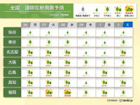 花粉情報　明日26日(月)は九州〜関東で花粉対策を万全に　この先の予測やピークは
