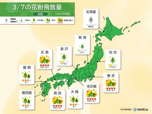 雨上がりとともに花粉が大量飛散へ　明日7日〜関東など広く連日の「非常に多い」