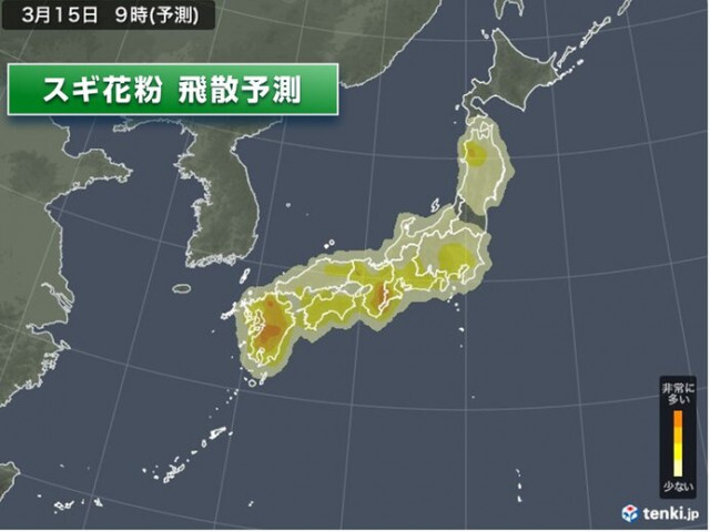 花粉情報　今日も九州〜東北で飛散　対策を　スギやヒノキのピークいつまで?
