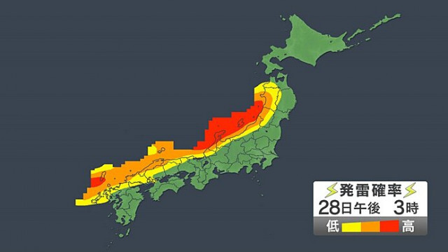 晩秋の空に映える黄金の木々、イチョウに宿る生きるチカラを感じよう！
