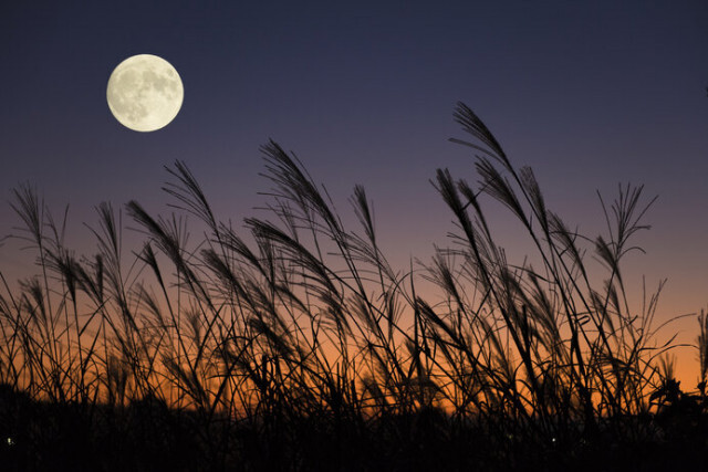 「アンタレス食」に「中秋の名月」。秋の夜空を彩る月を楽しもう
