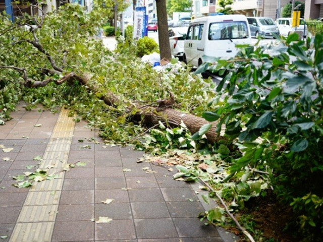 秋は台風シーズン　過去に大きな被害をもたらした台風も