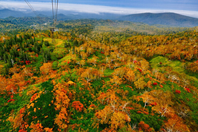 北海道でダイナミックな大自然の紅葉を〈紅葉情報2023〉