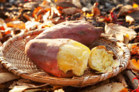 山頂で秋の味覚を思いっきり楽しんでみませんか？『鮭・きのこ・さつま芋』を使った登山飯のレシピ