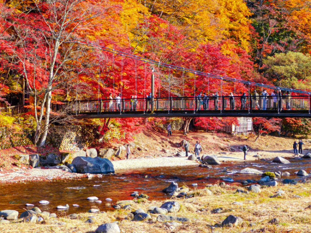 栃木県の紅葉名所♪ 北関東の美しい秋を楽しもう＜レジャー特集2023＞