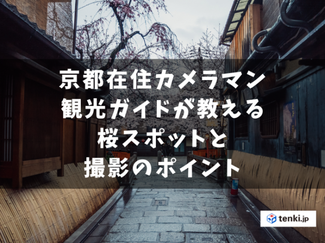 【2024年版】京都在住カメラマン・観光ガイドが教える京都の桜スポットと撮影のポイント