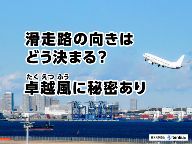 滑走路の向きはどう決まる？卓越風に秘密あり
