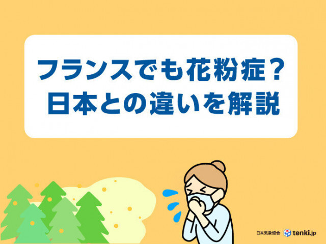 スギはないけど…フランスの花粉症事情とは