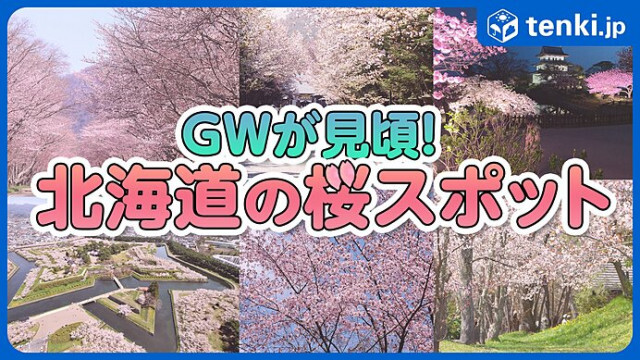 北海道の桜はゴールデンウィークが見頃！道内の桜の名所を一挙紹介！