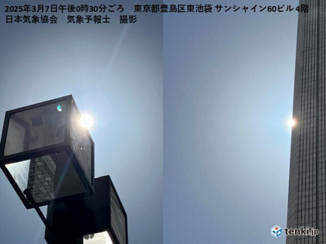 スギ花粉のピークで「花粉光環」出現　来週は4月並みの気温で「極めて多い」飛散も