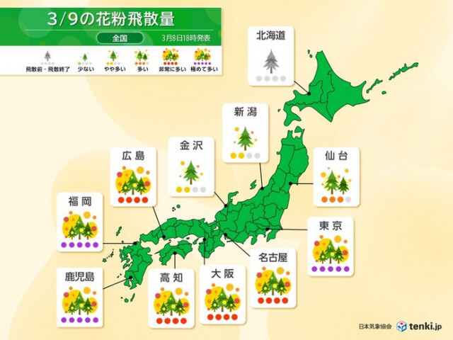 花粉情報　今日9日は雪上がりの関東は「極めて多い」　九州〜東海もスギ花粉のピーク