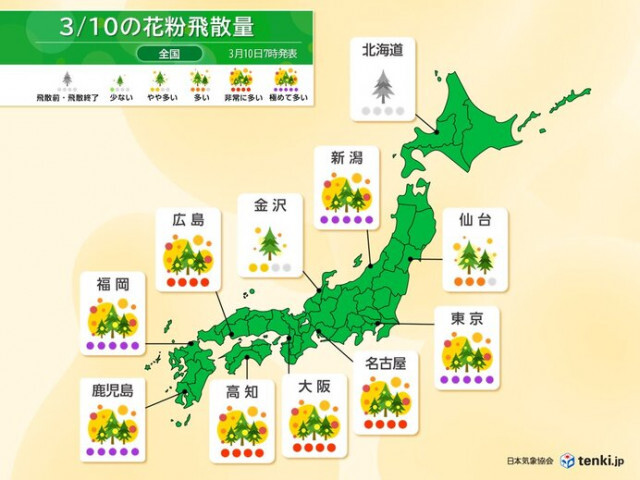 10日も関東〜九州は花粉が大量飛散　スギに交じってヒノキも　万全な対策を