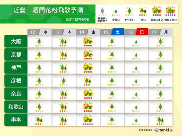 近畿はスギ花粉飛散の最盛期に　14日(金)は広範囲で大量飛散　「極めて多い」所も