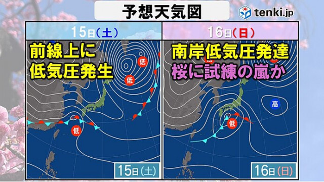 関東　16日は雨風ともに強まる　桜に試練の嵐か　寒暖差大きく体調管理にも注意