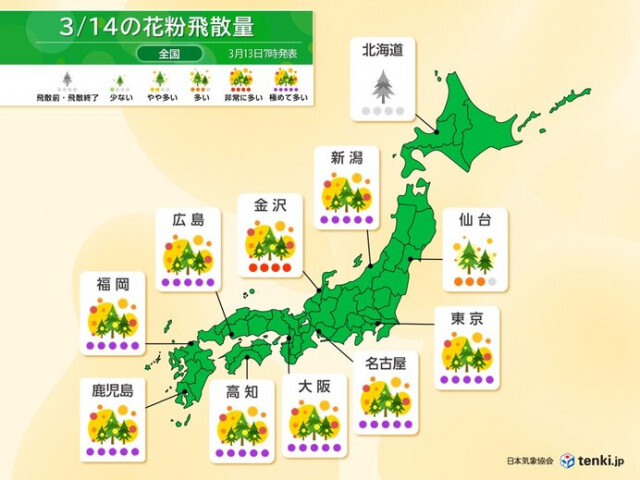 花粉　明日14日も関東から九州で「極めて多い」　週末は収まるも来週はまた大量飛散