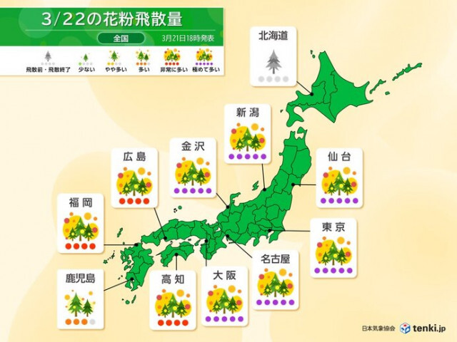 今日22日も花粉飛散ピーク続く　近畿から東北で「極めて多い」　ヒノキ花粉の対策も