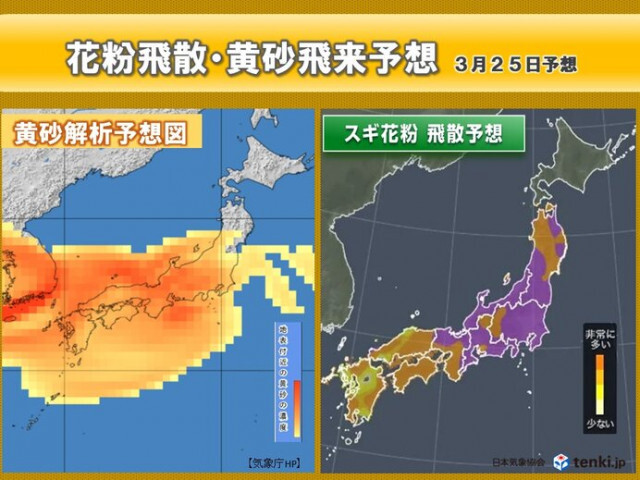 明日23日から「花粉+黄砂」のダブルパンチ　25日は要注意　予防や対策ポイントは