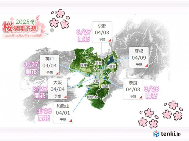 近畿も桜の開花ラッシュ　4月スタートとともに見ごろへ　お花見日和は?　2週間天気