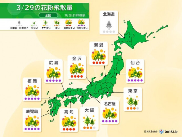 花粉情報　今日29日は九州〜東北で大量飛散　お花見も花粉対策を万全に