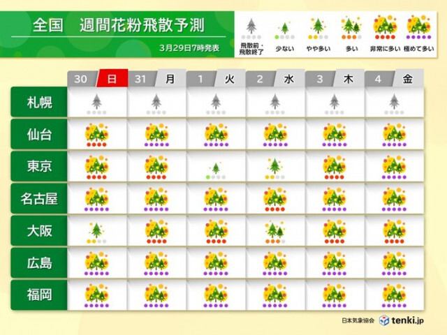 花粉情報　30日は関東も飛散量増える　まだ大量飛散の日多い　いつまで注意が必要?
