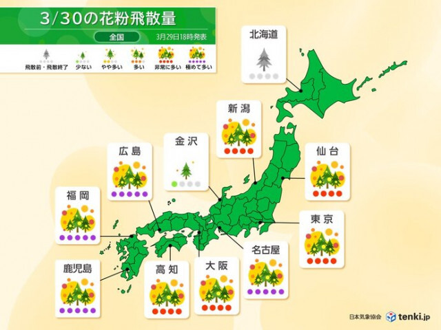 花粉情報　今日30日は九州〜東北で大量飛散　ヒノキ花粉ピークに　終息時期はいつ?