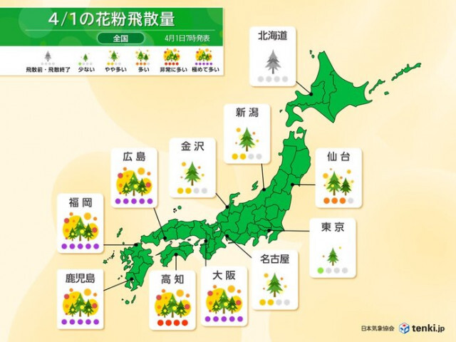 今日1日の花粉情報　九州〜近畿で「極めて多い」ヒノキ花粉がピークに