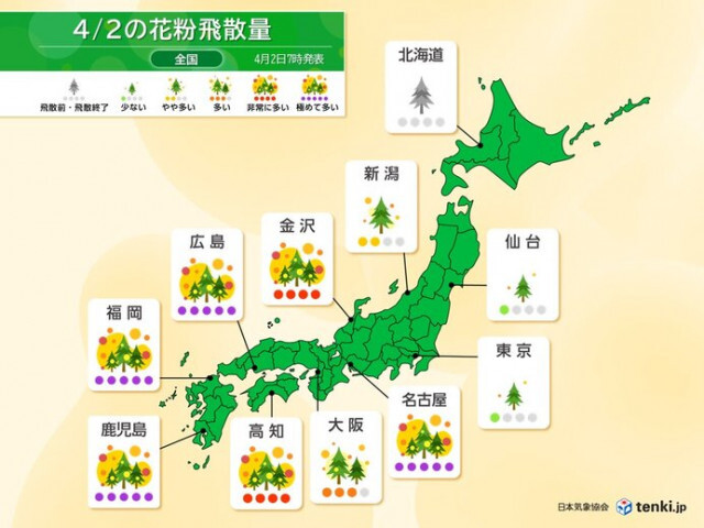 花粉　2日は東京・仙台で「少ない」　雨上がりは大量飛散　ヒノキが広範囲でピークに