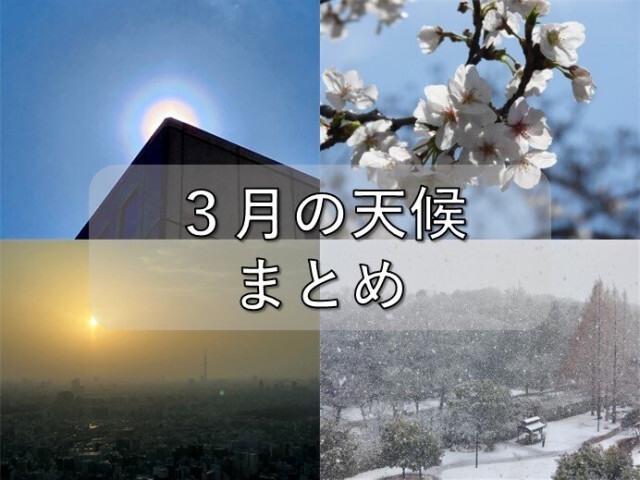 2025年3月の天候まとめ　全国的に気温の変動大　太平洋側で降雪多く