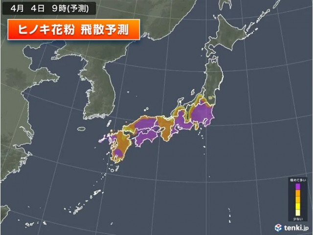4日の花粉情報　関東など「極めて多い」　花粉の飛散はいつまで続く?