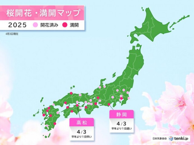 今日3日は静岡と高松で桜満開　いずれも桜開花から8日目で満開に