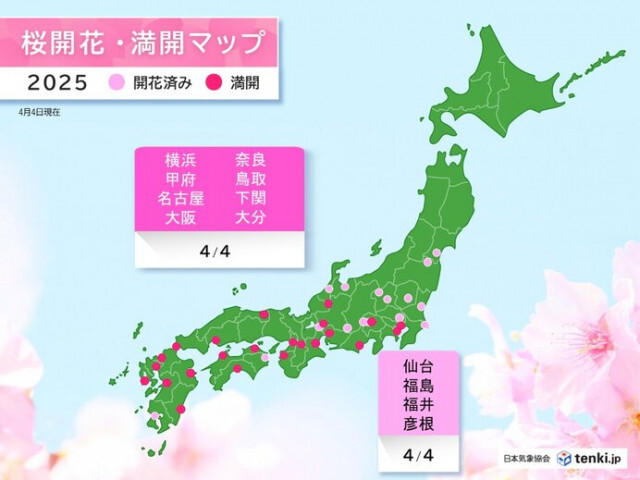 桜の開花・満開ラッシュ　大阪・名古屋・横浜などで満開　仙台・福島などで開花