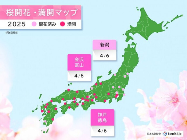 今日6日も桜開花・満開ラッシュ　新潟で開花　金沢・富山・神戸・徳島で満開