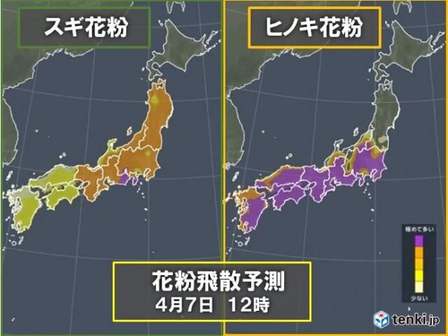 花粉飛散　九州〜東北で極めて多い・非常に多い　ヒノキがピーク　対策はいつまで