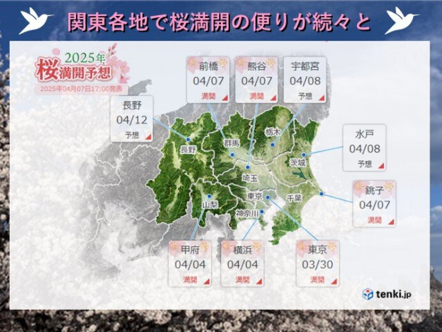 関東各地で桜の満開が続々と　日中は上着いらずの暖かさに　日毎に強まる紫外線に注意