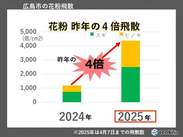 中国地方のヒノキ花粉　大量飛散はいつまで?　花粉・紫外線・寒暖差対策を万全に