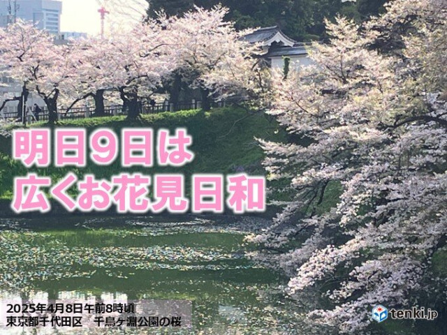 明日9日は広くお花見日和　青空に桜は見納めの所も　10日以降は九州から雨風強まる