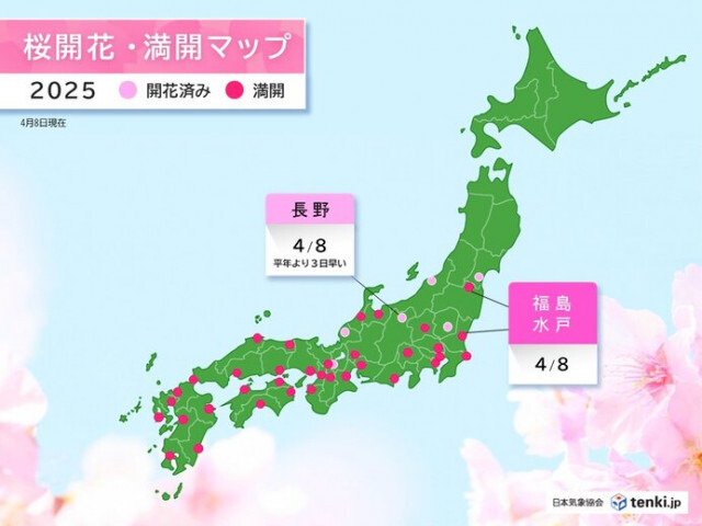 今日8日　福島・水戸で桜満開　長野で桜開花　明日9日は各地でお花見日和